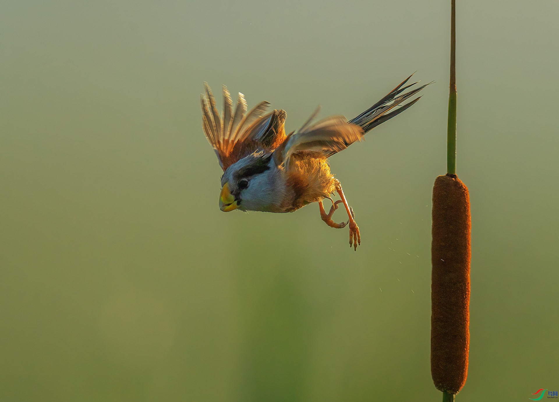 DSC_8087 -1.jpg