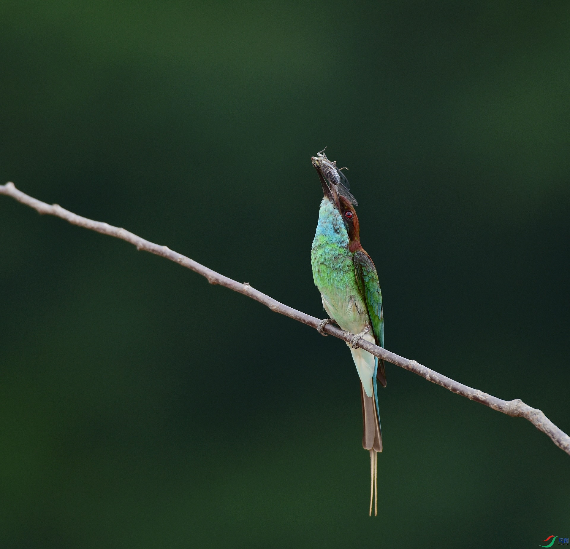 D8I_6542.jpg