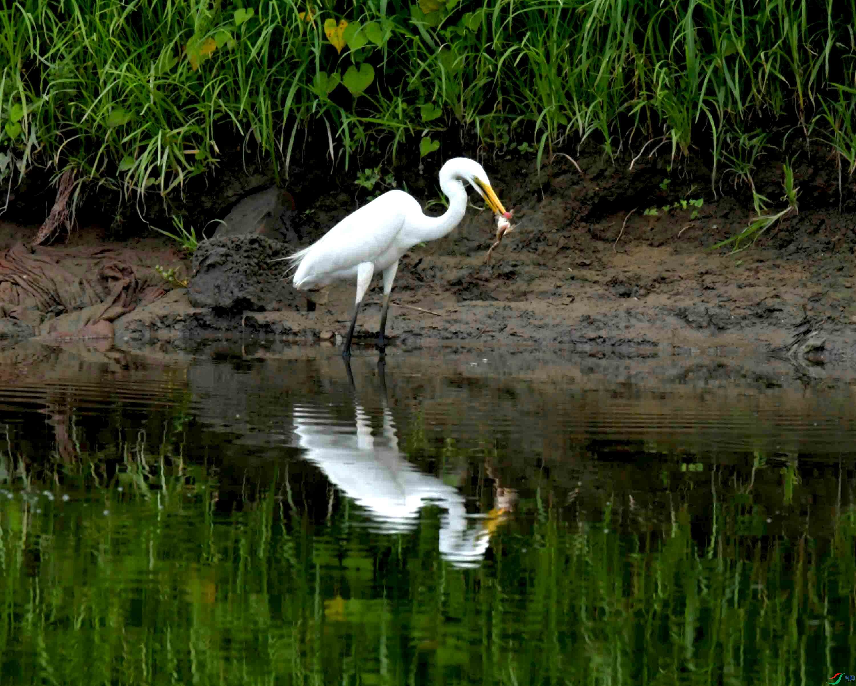 DSC_6068.JPG
