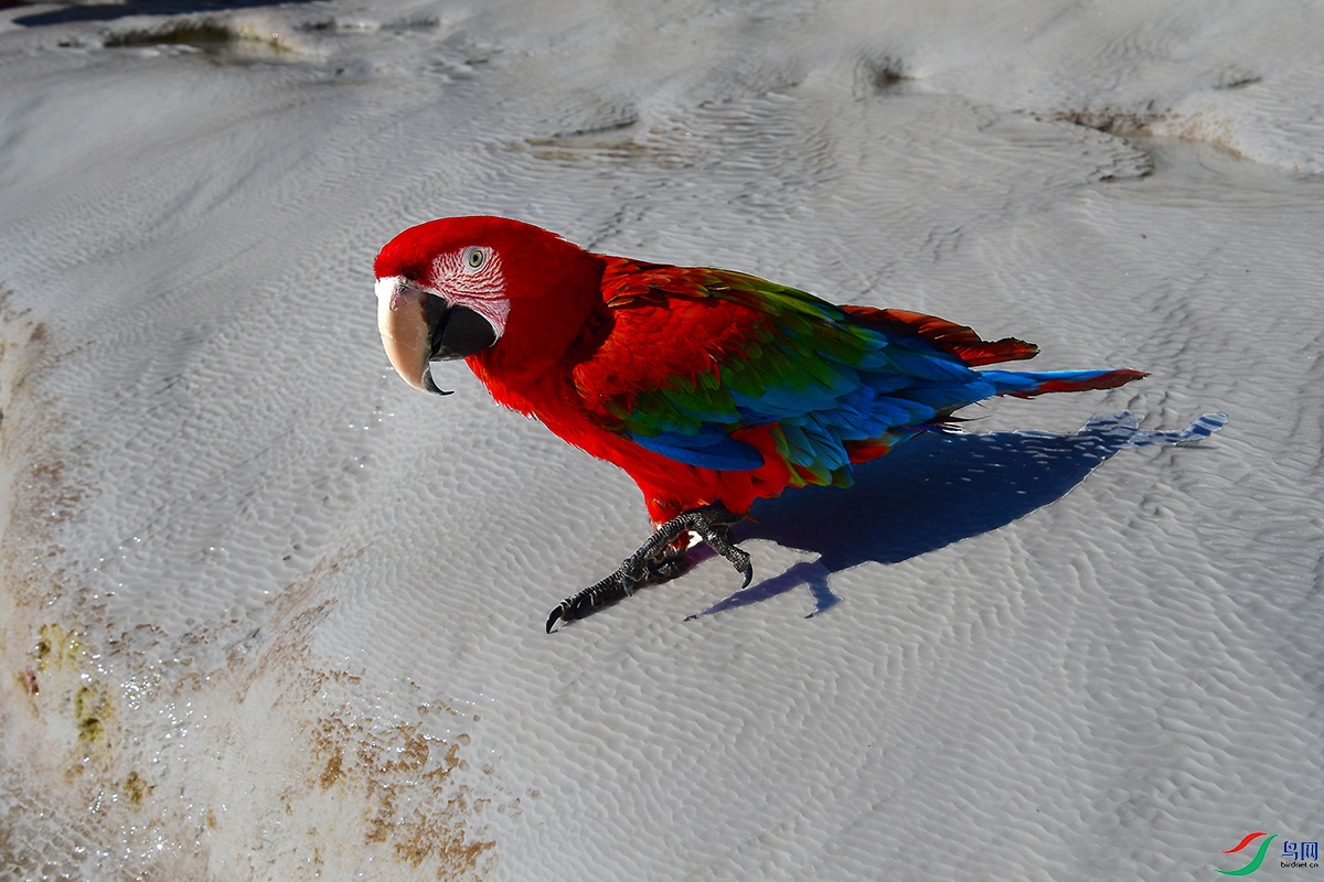 DSC_7028.JPG