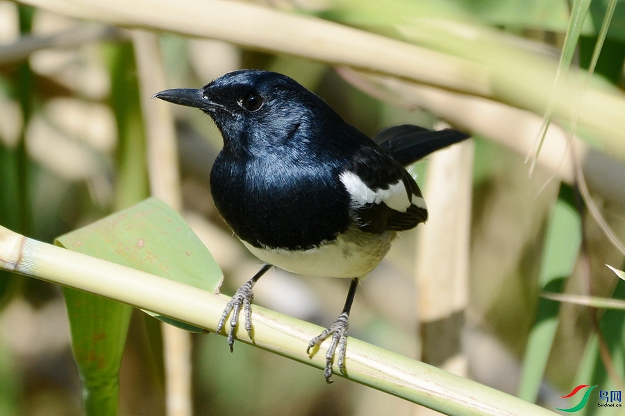 ���n�_ (2).JPG