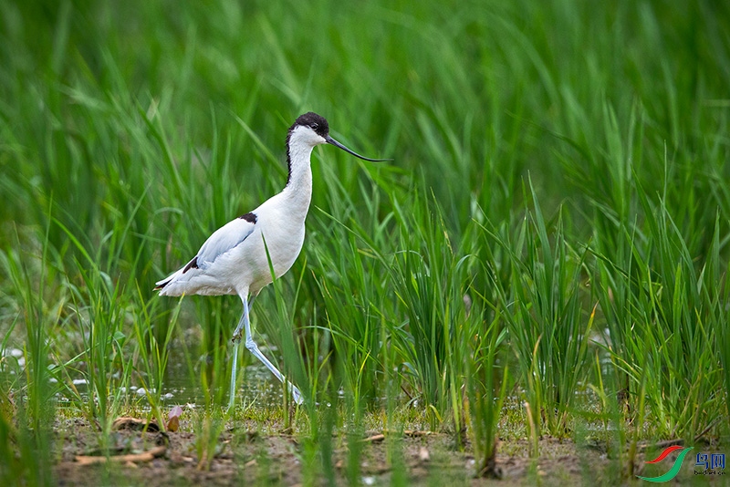 4X8A1526 ����.jpg