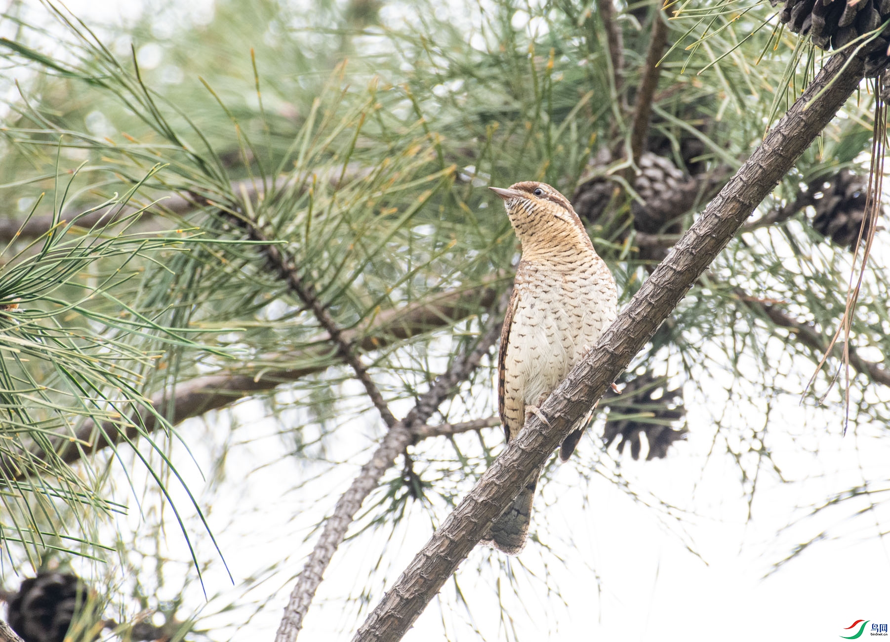 DSC_7167.jpg
