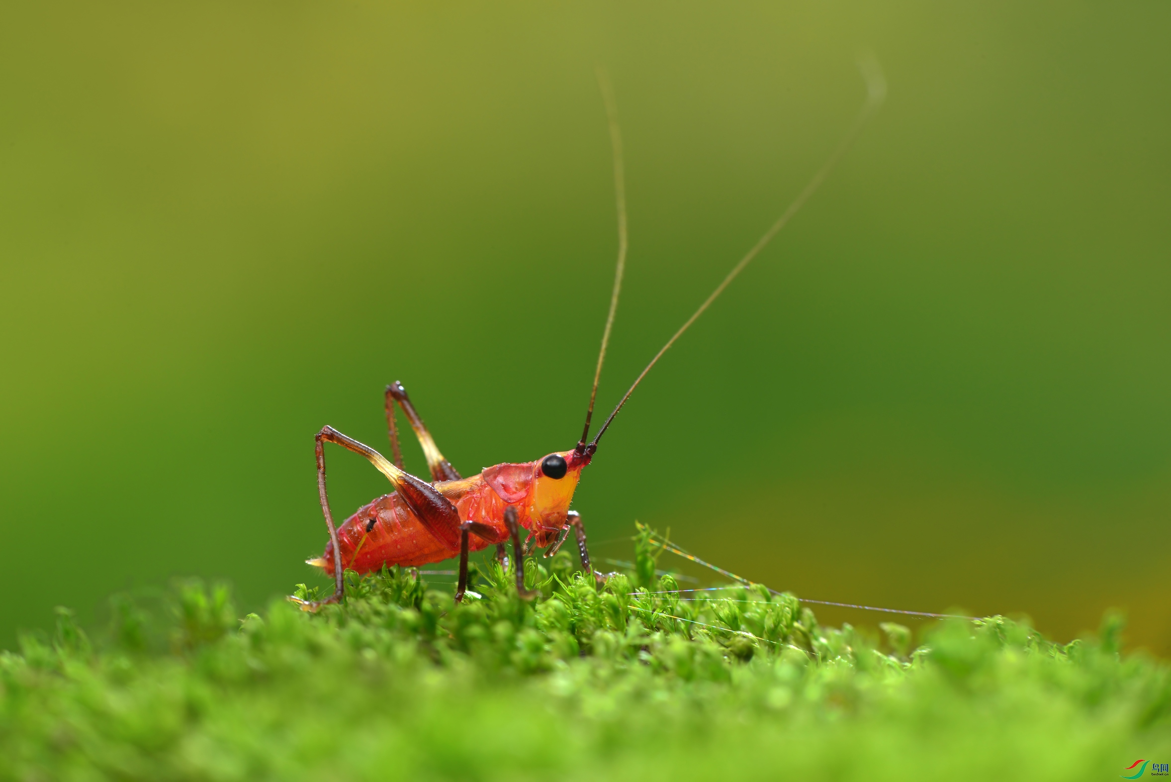 DSC_3542 ����.jpg