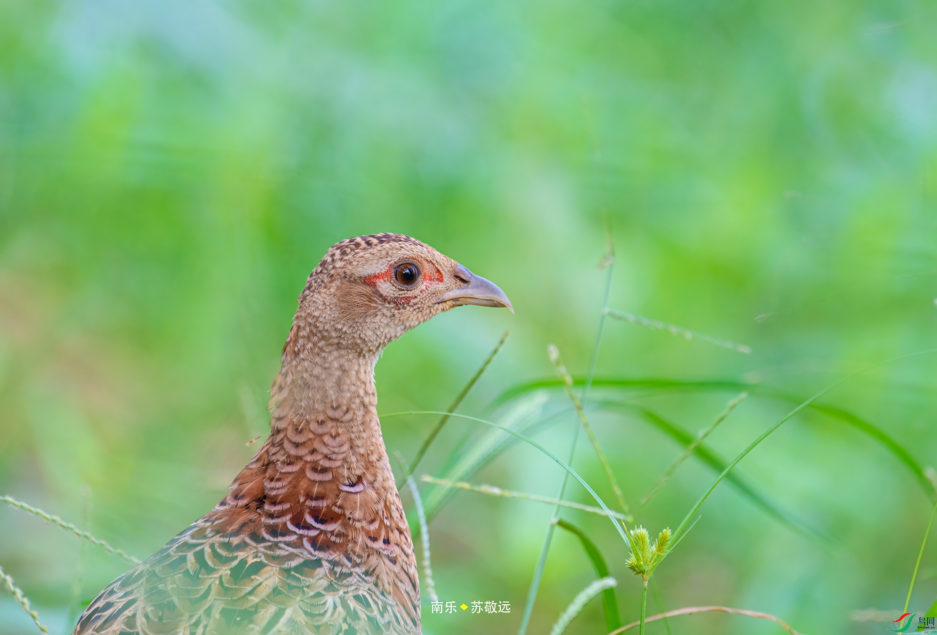 _DSC7884С.jpg