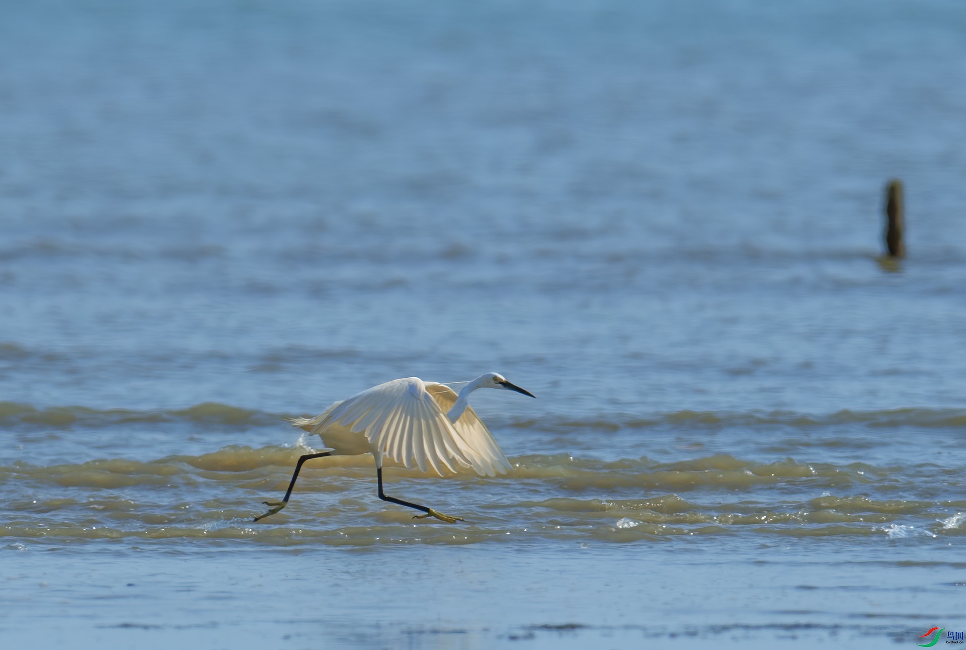 DSC_2012 ����.jpg