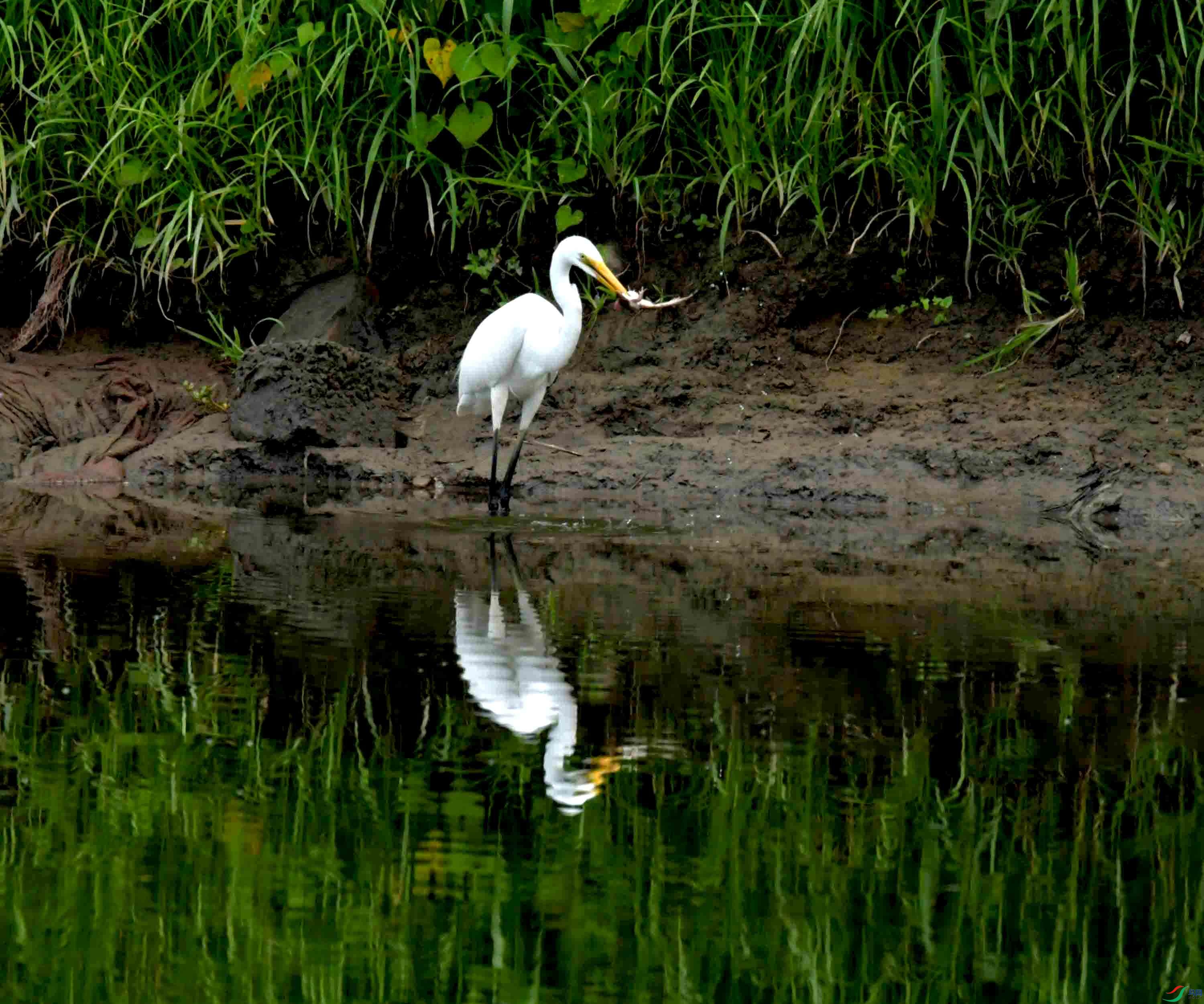 DSC_6113.JPG