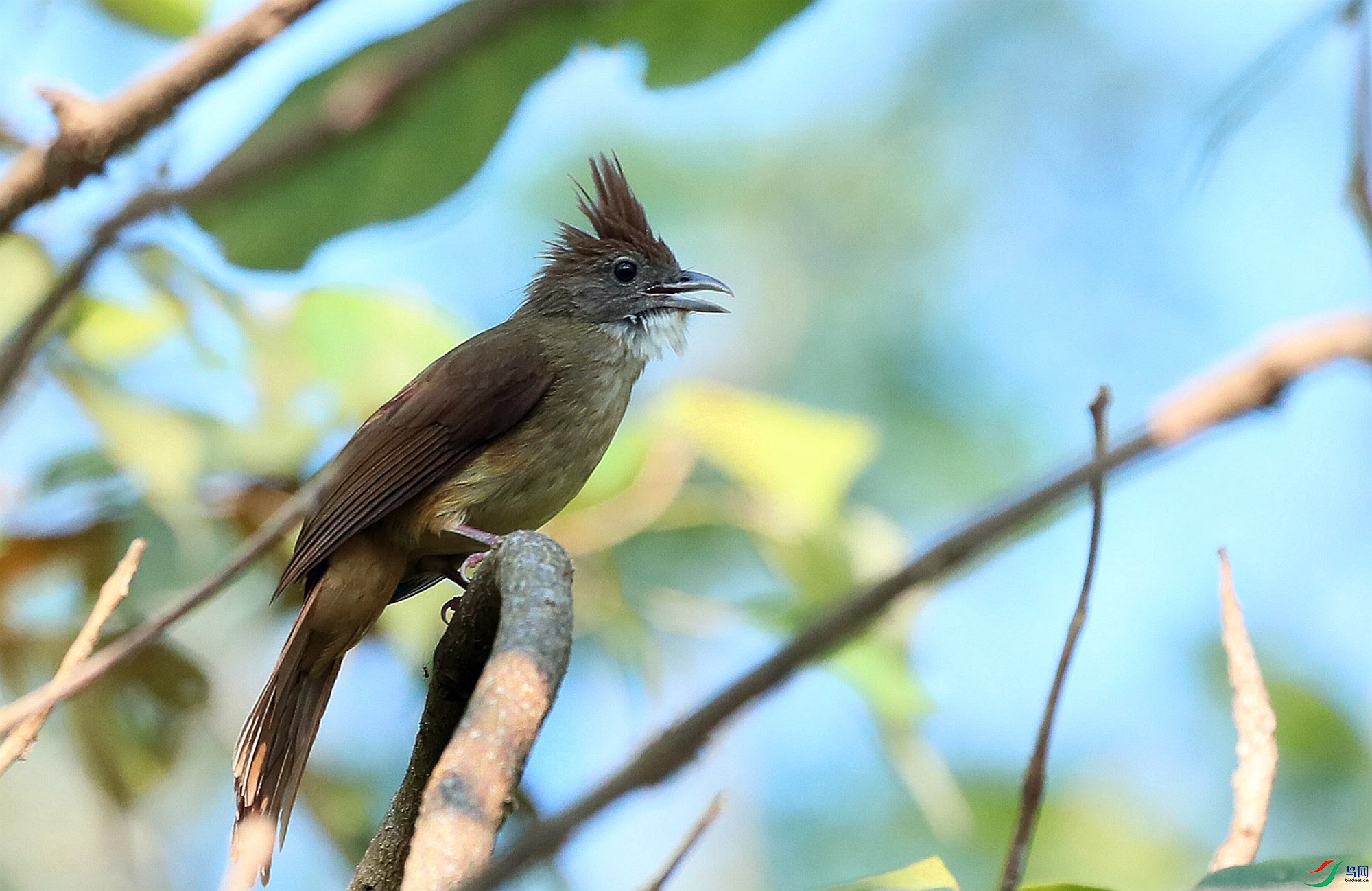 B83I5603 - ����.JPG