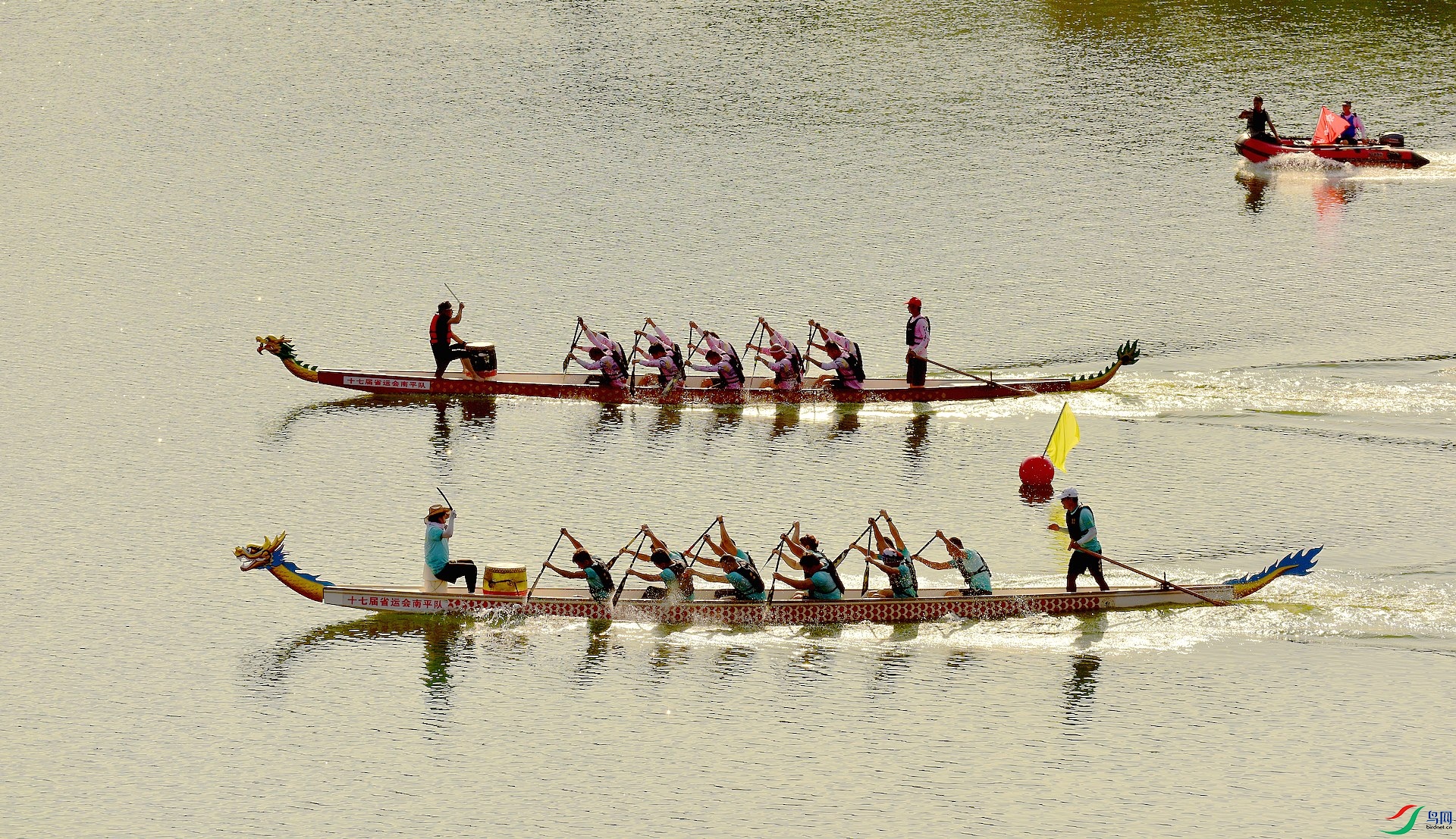 D8I_2127.jpg