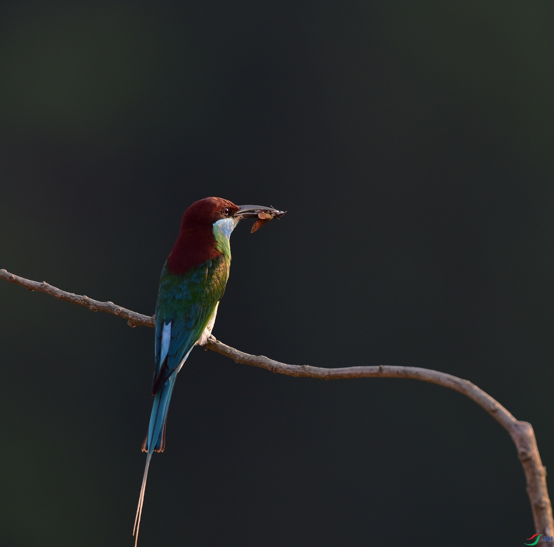 D8I_6822.jpg