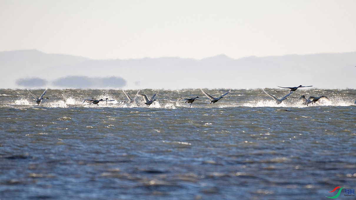 DSC_0190.jpg