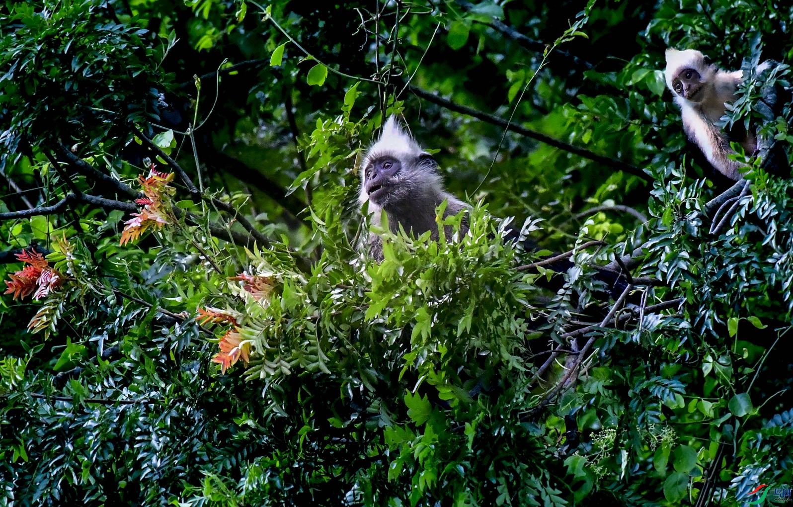 DSC_1079_���� (2)  ���֣�����׷����.jpg