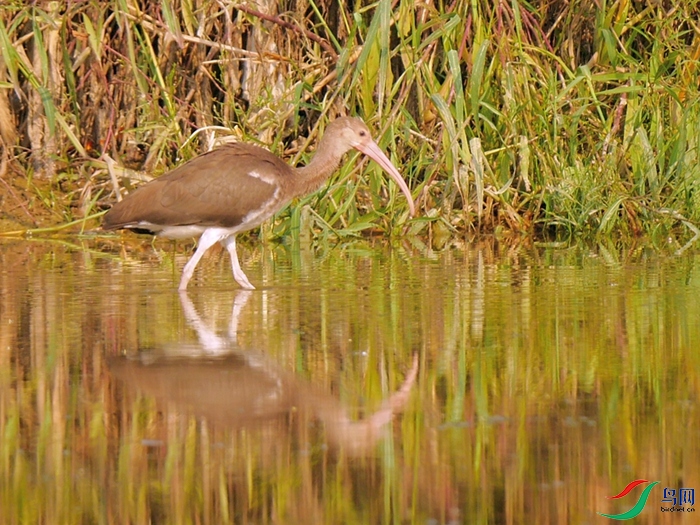 P8930756 - ���� - ����.JPG