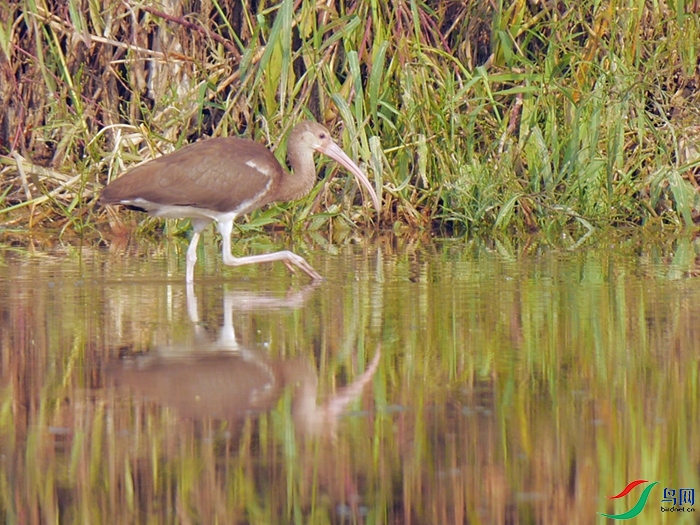 P8930761 - ���� - ����.JPG