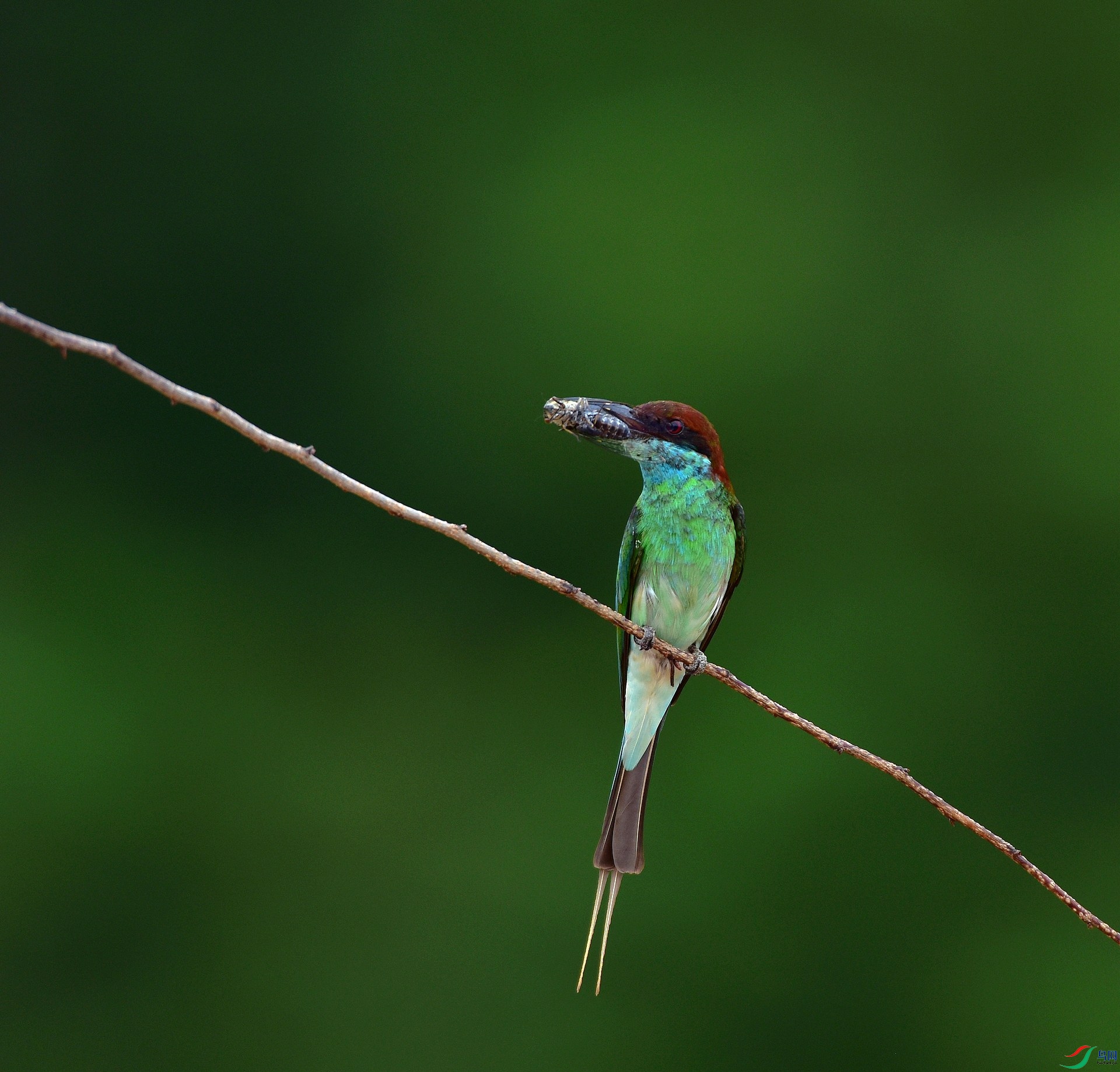 D8I_6483.jpg
