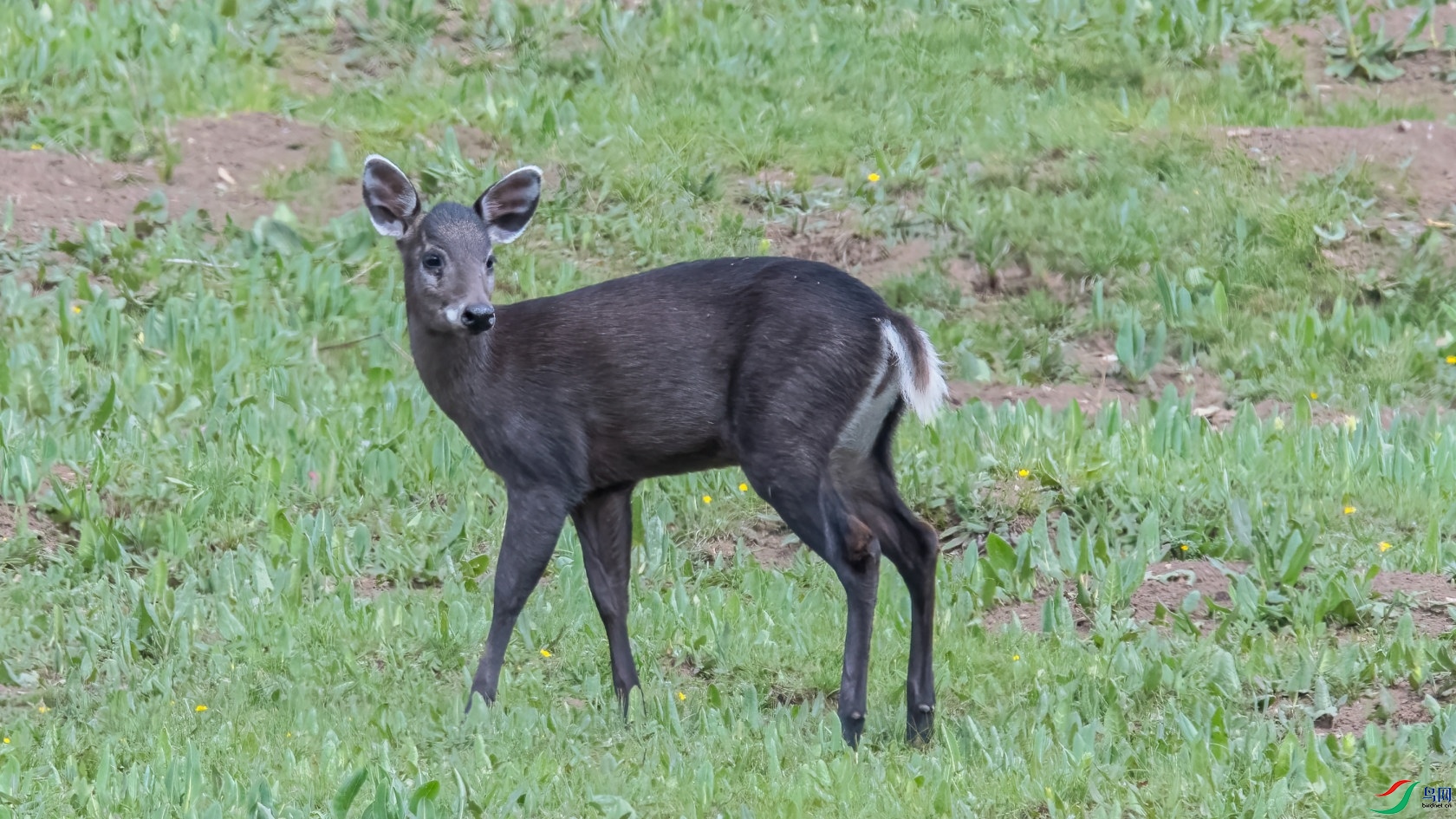 DSC_5054-2_01.JPG