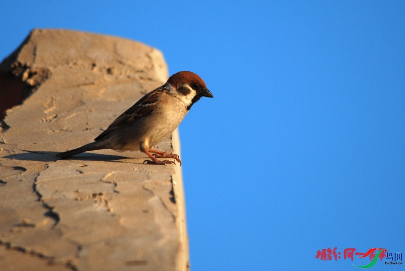 DSC_2064.jpg