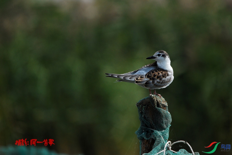 DSC_2108.jpg