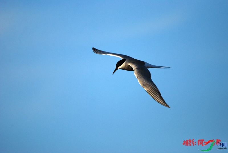 DSC_2440.jpg