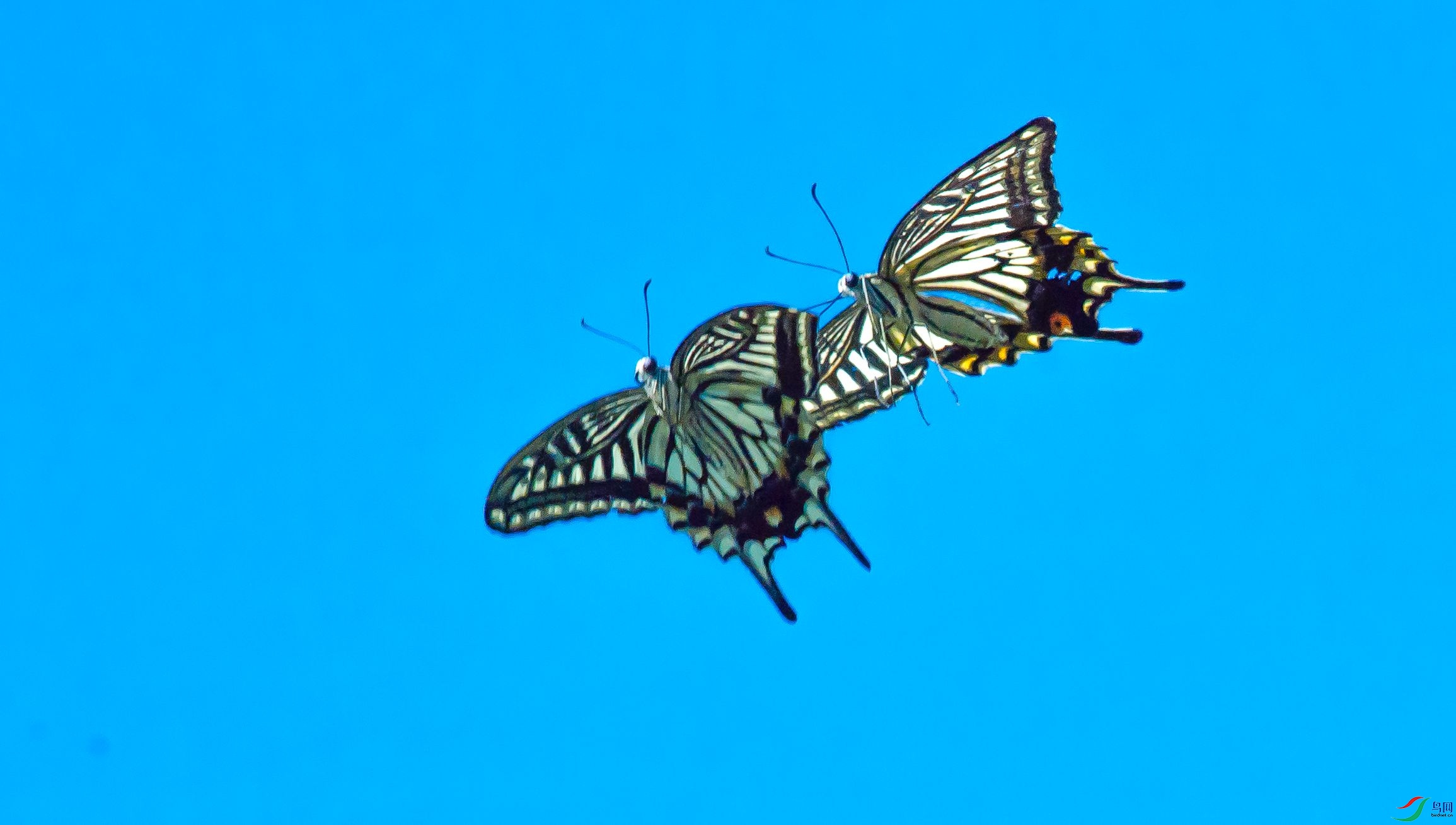 DSC_6901m.jpg