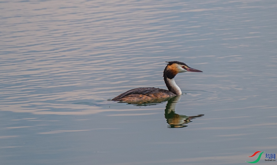 DSC_3986.jpg