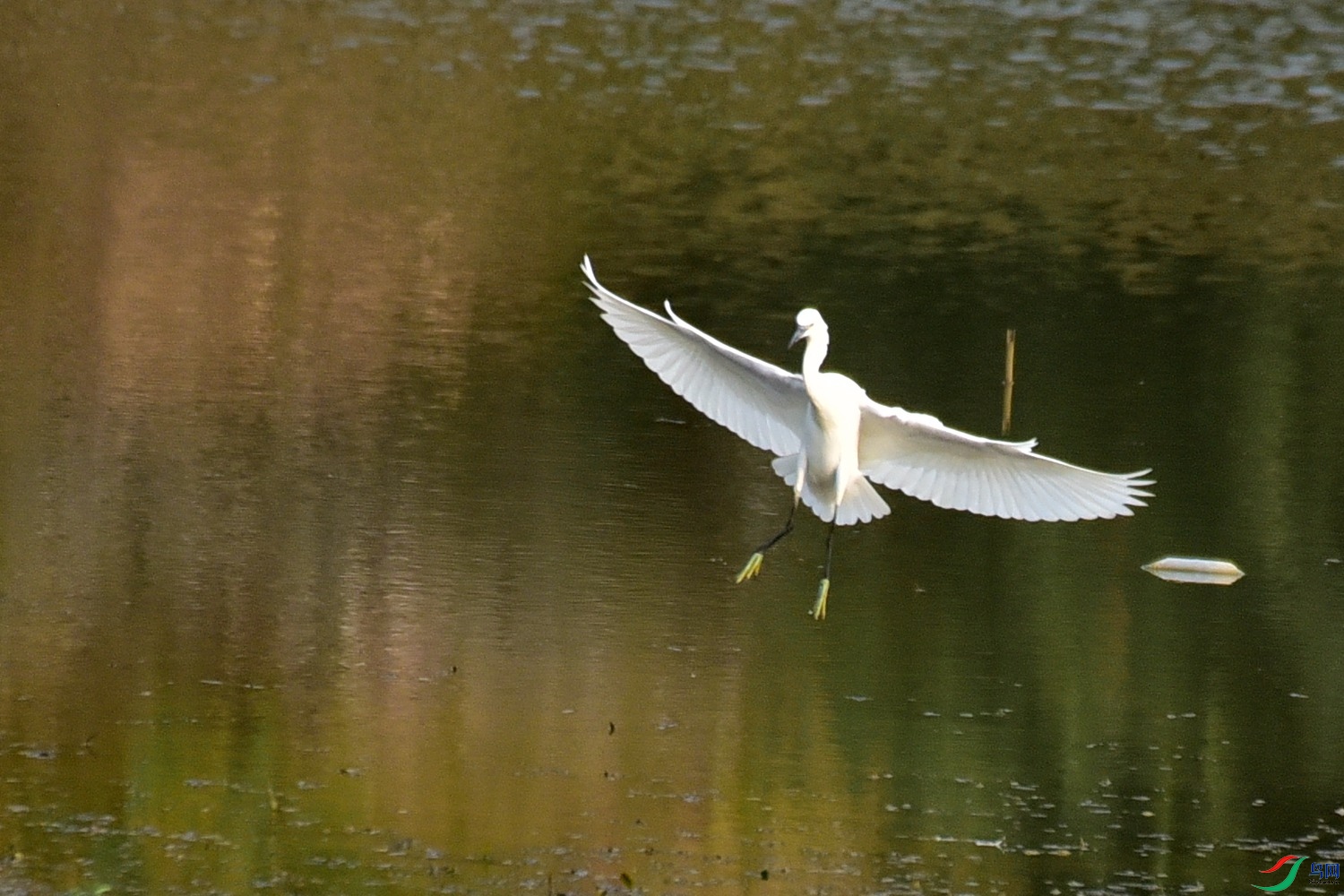 DSC_3683.JPG