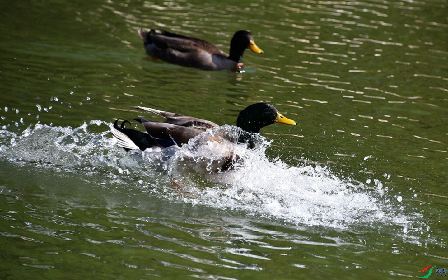 008 (41)_����.jpg