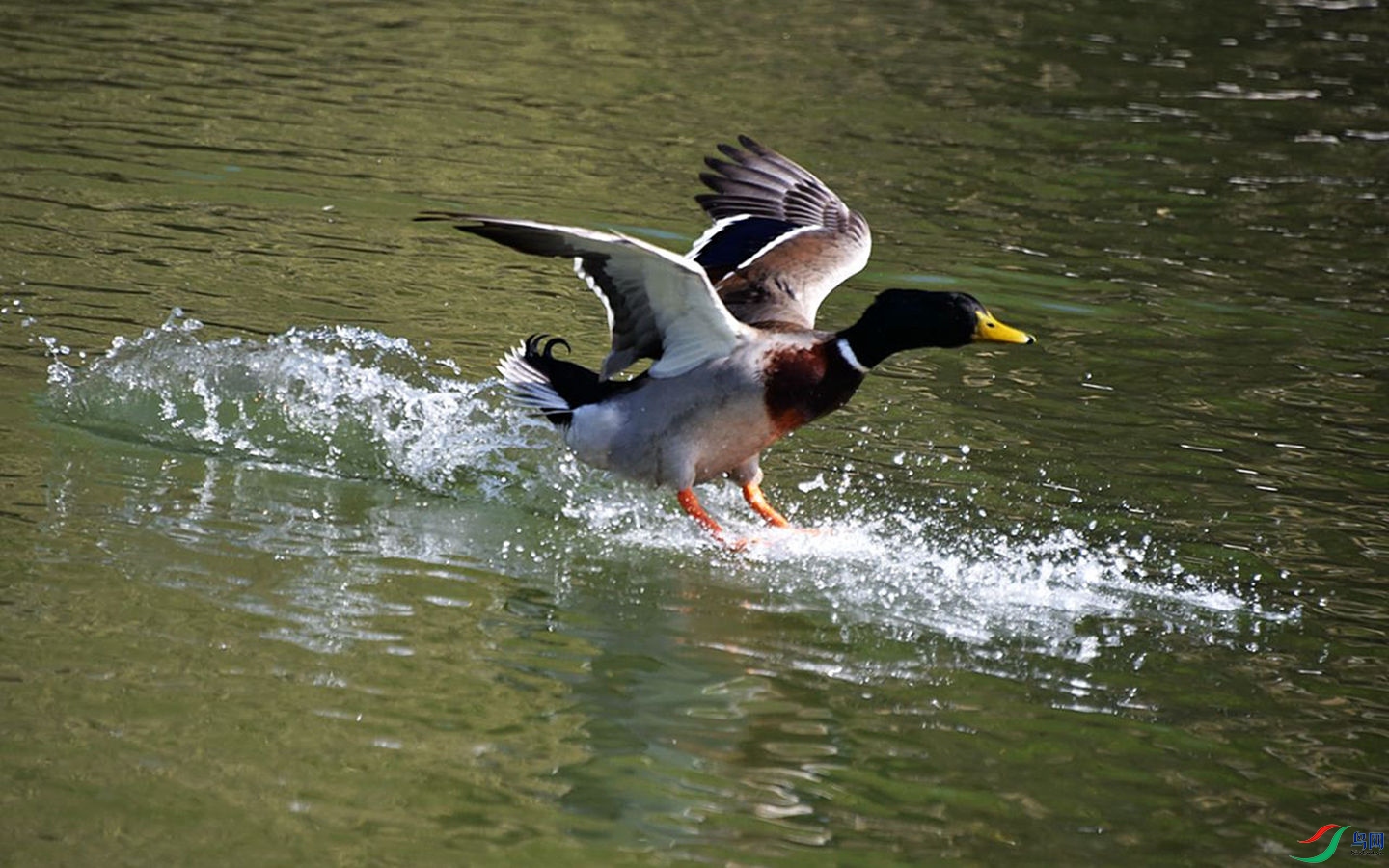 008 (42)_����.jpg