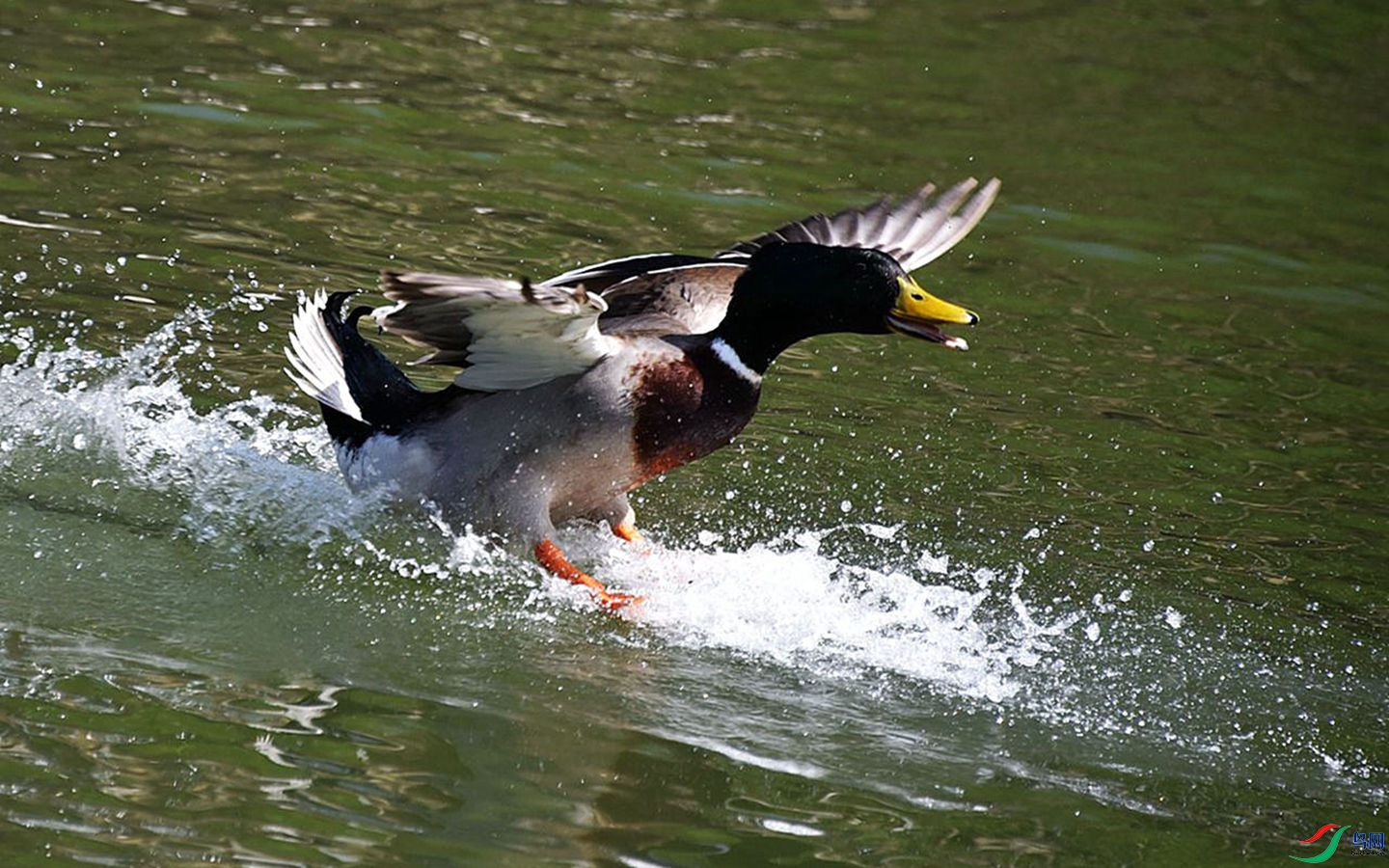 008 (44a)_����.jpg