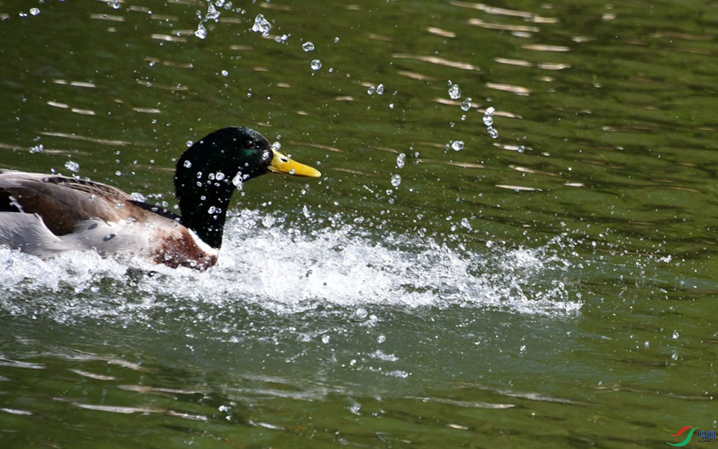 008 (47)_����.jpg