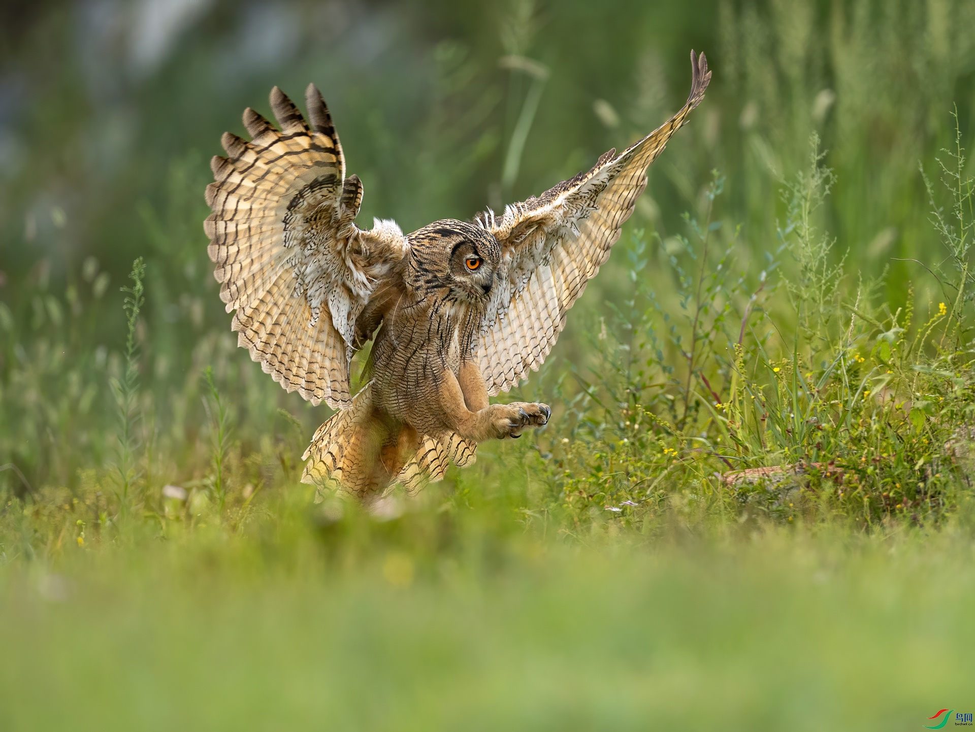 ���^0C4A0984.jpg