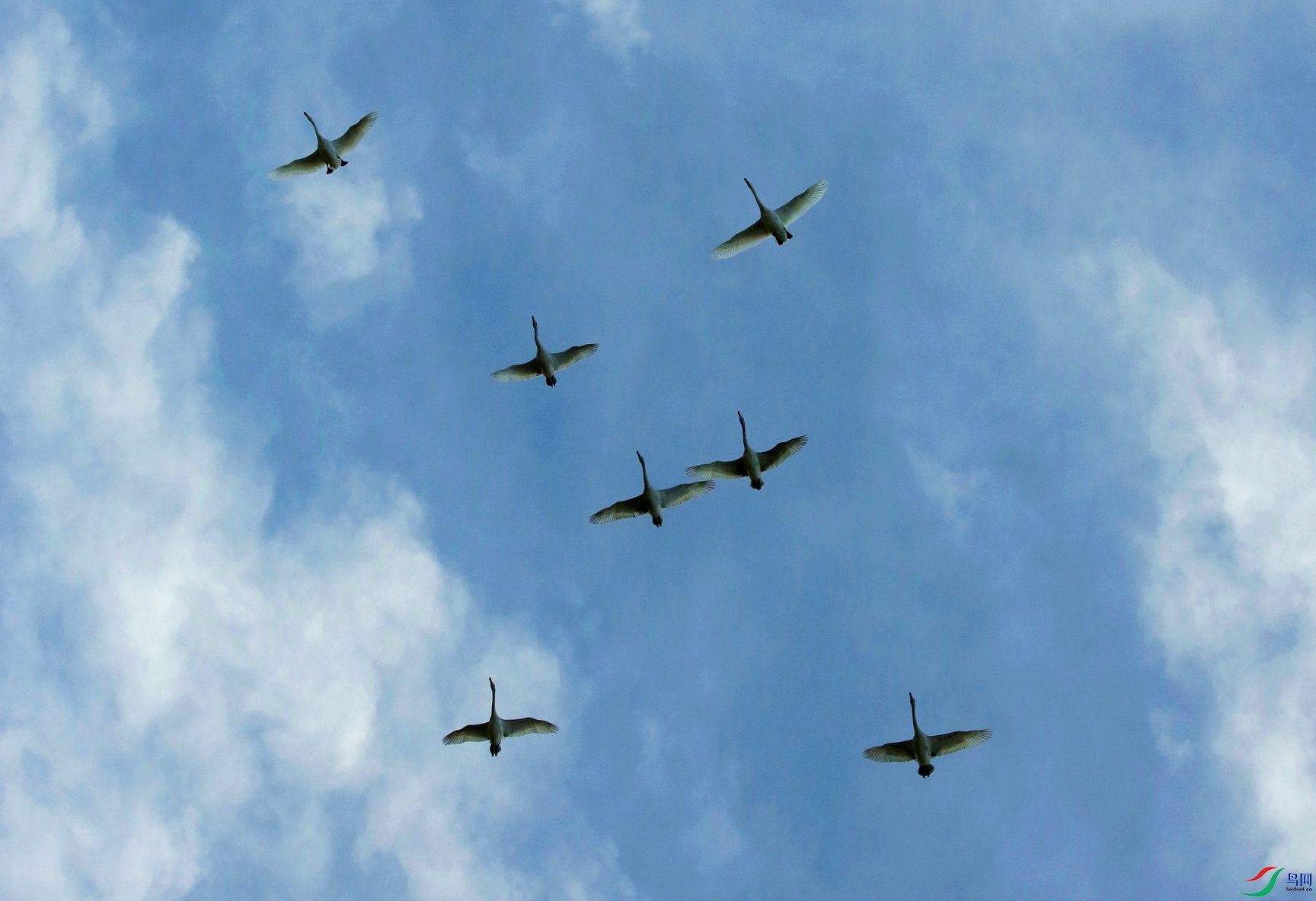 BG3A2999_����_����.JPG