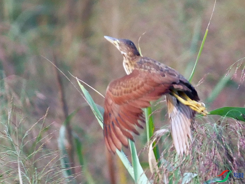 P8940507 - ����.JPG