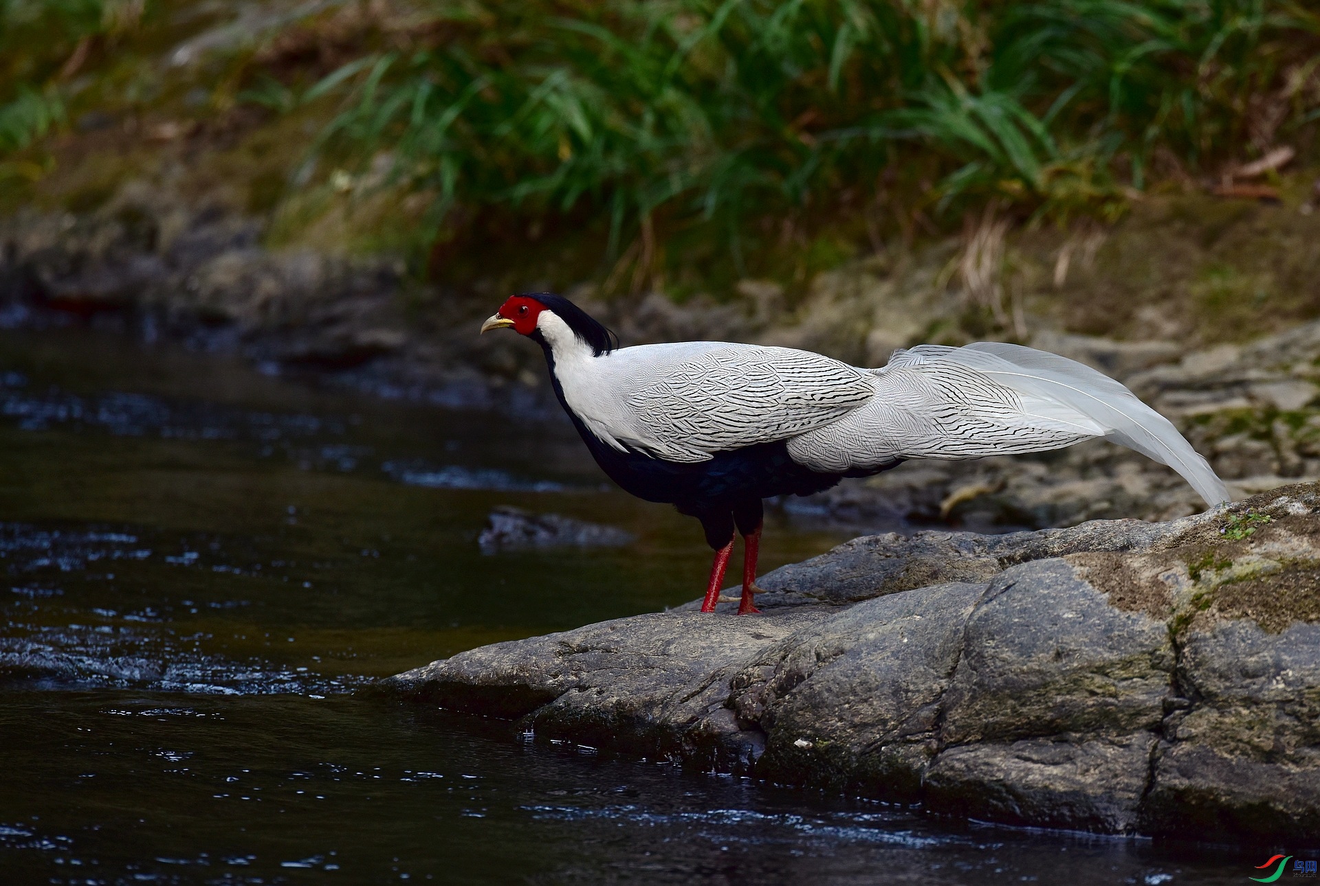 D8I_3457.jpg