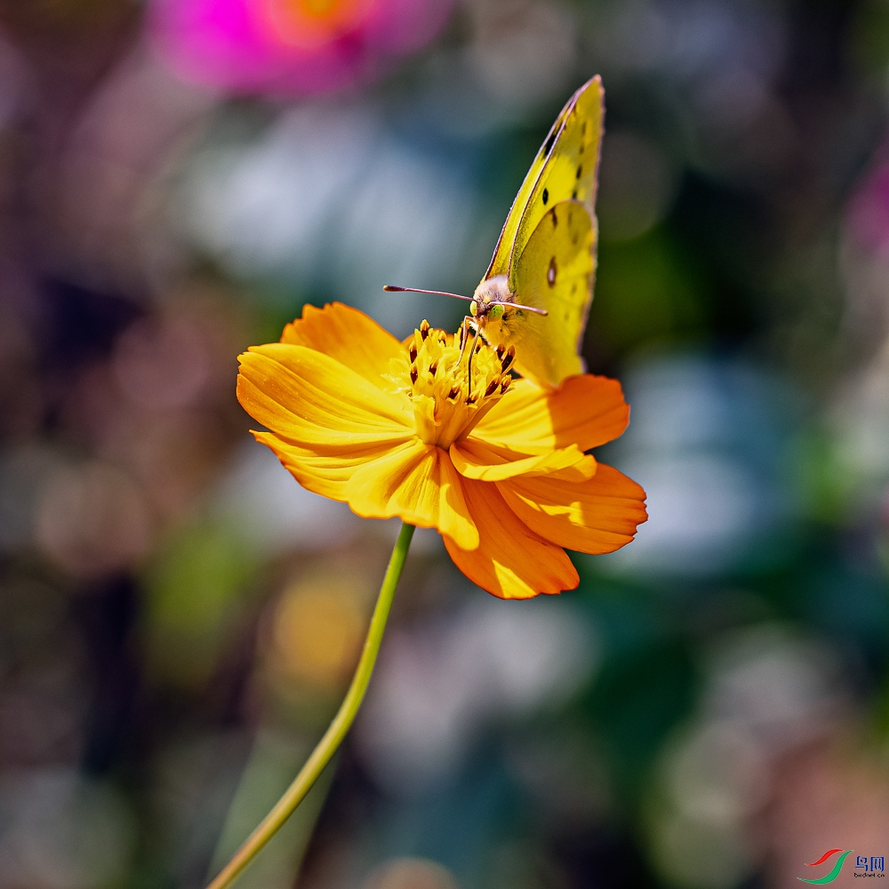 _5LM3578_2.jpg