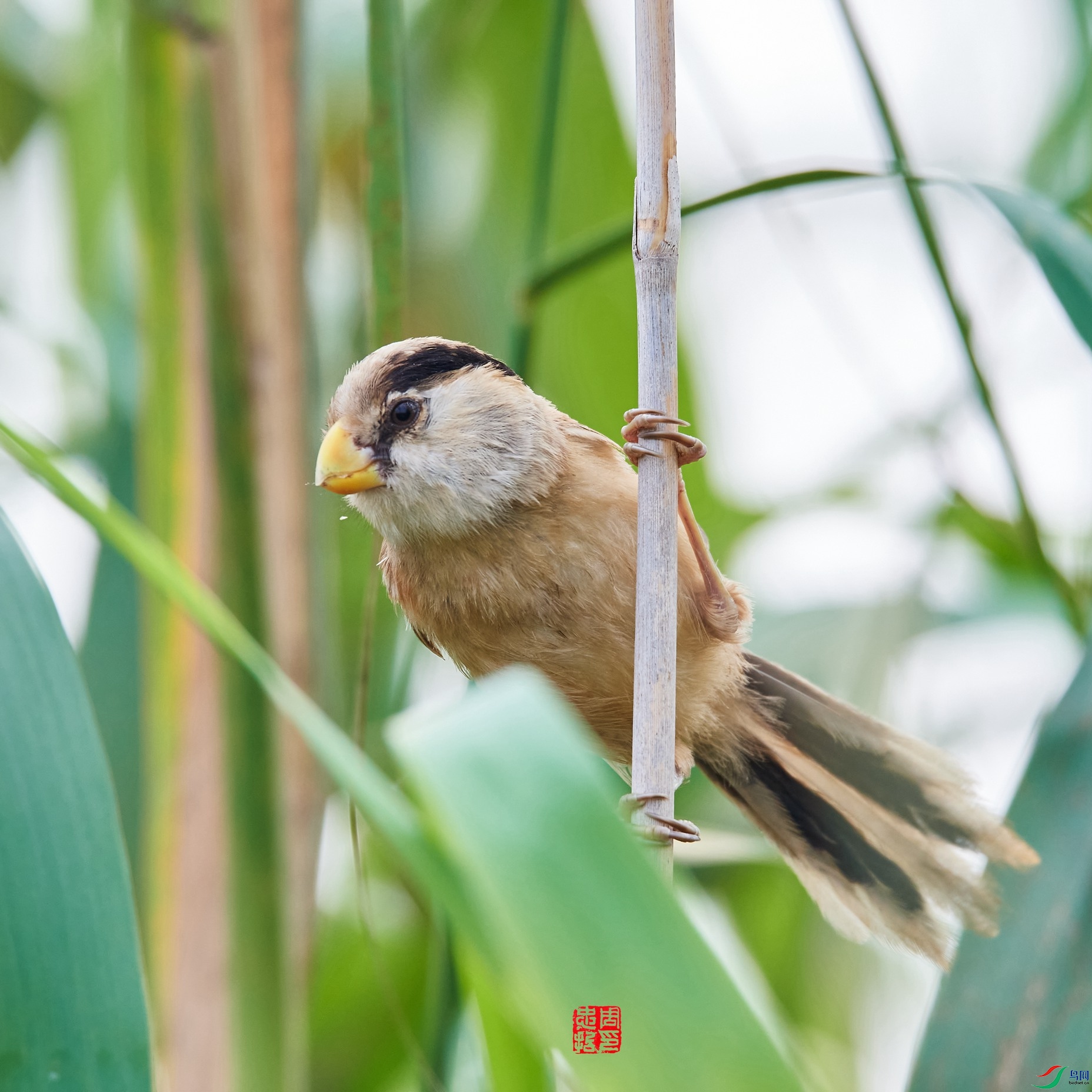 DSC_7170_����.jpg