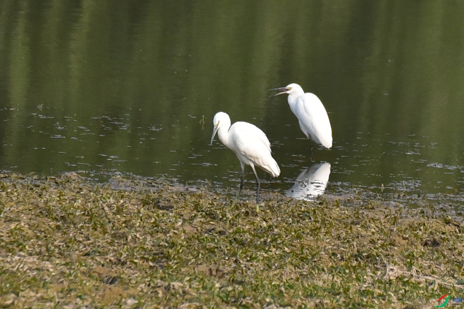 DSC_3700.JPG