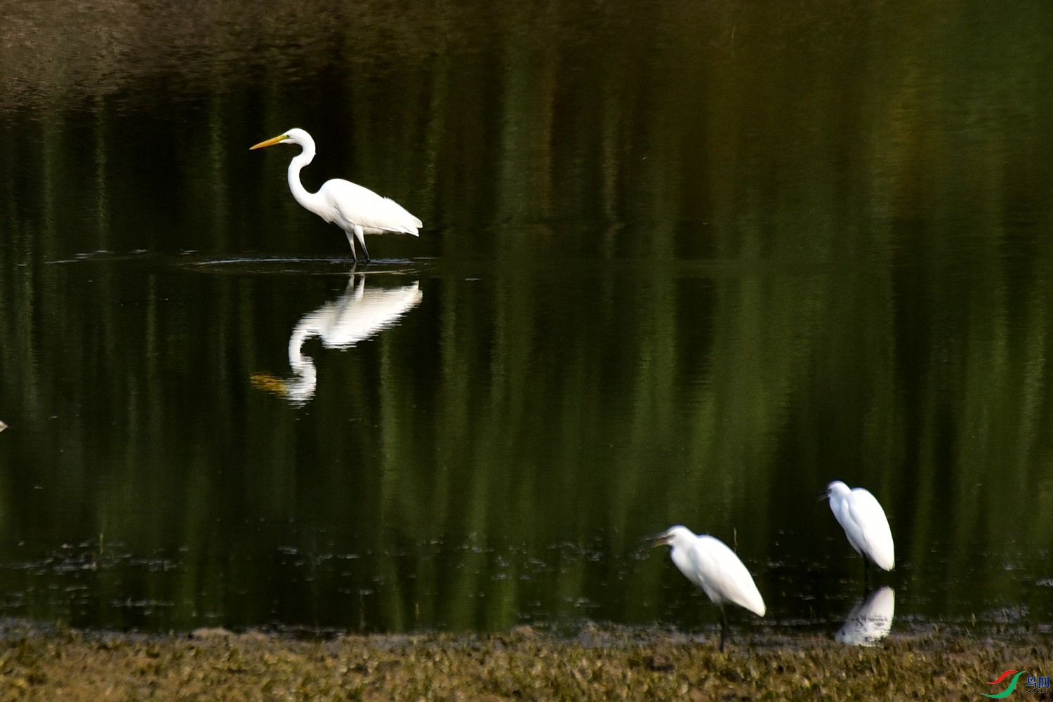DSC_3732.JPG