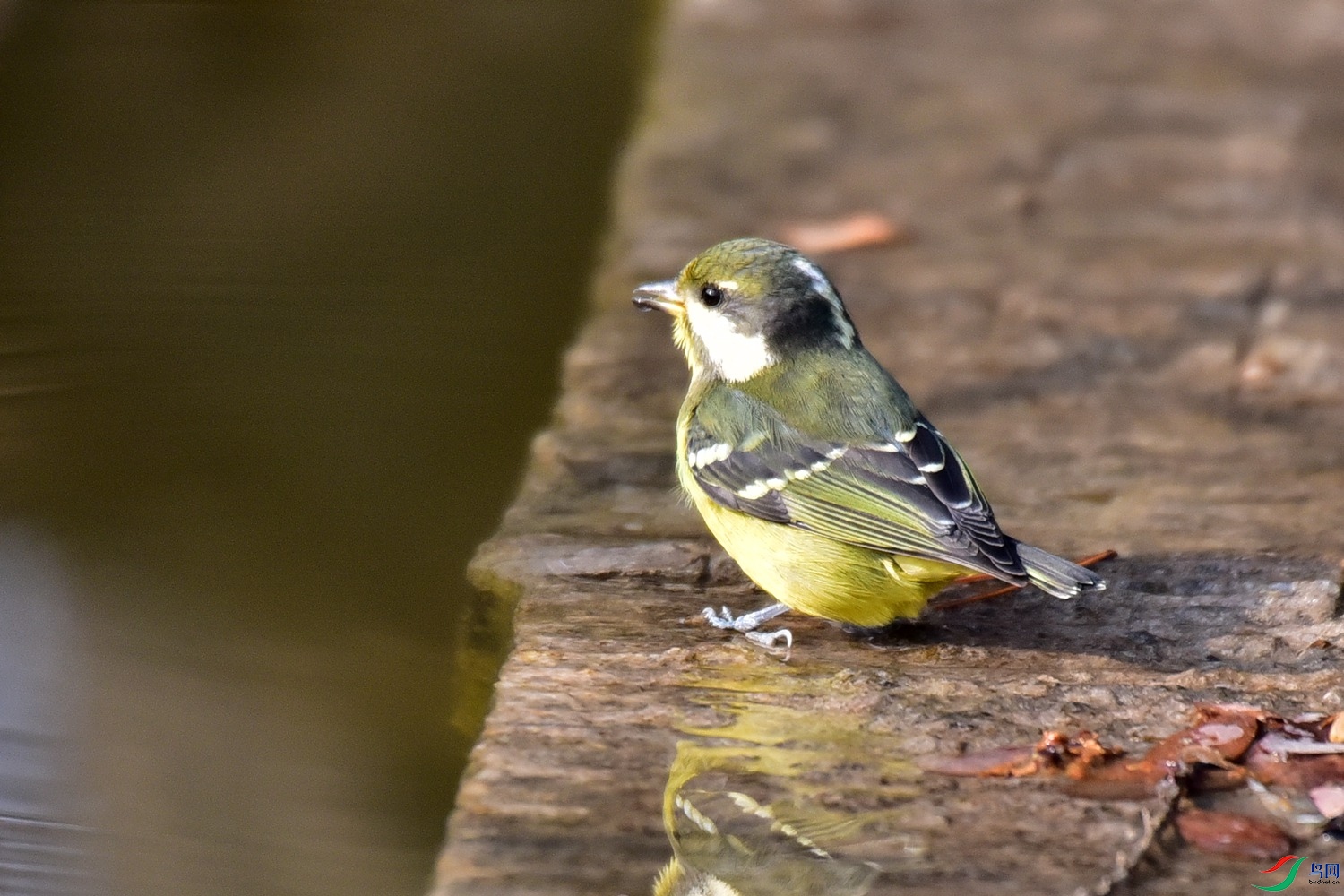 DSC_5029.JPG