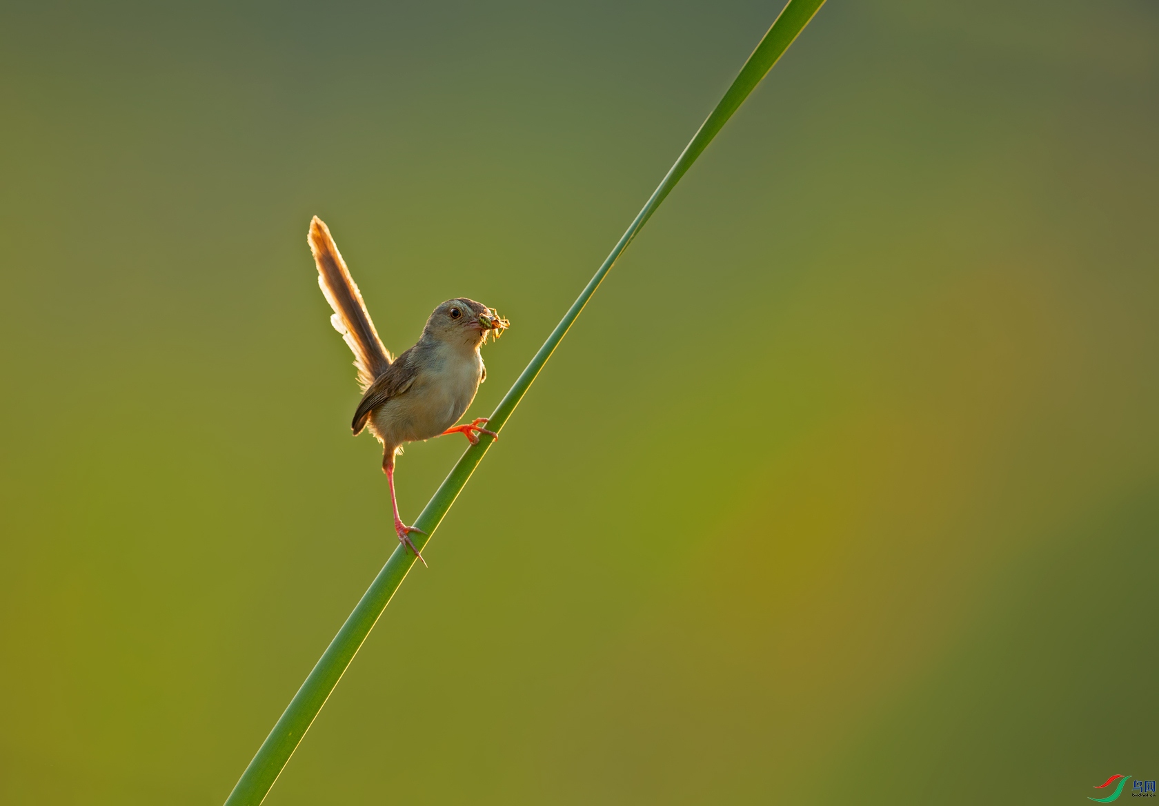 1_2L9P7570.jpg