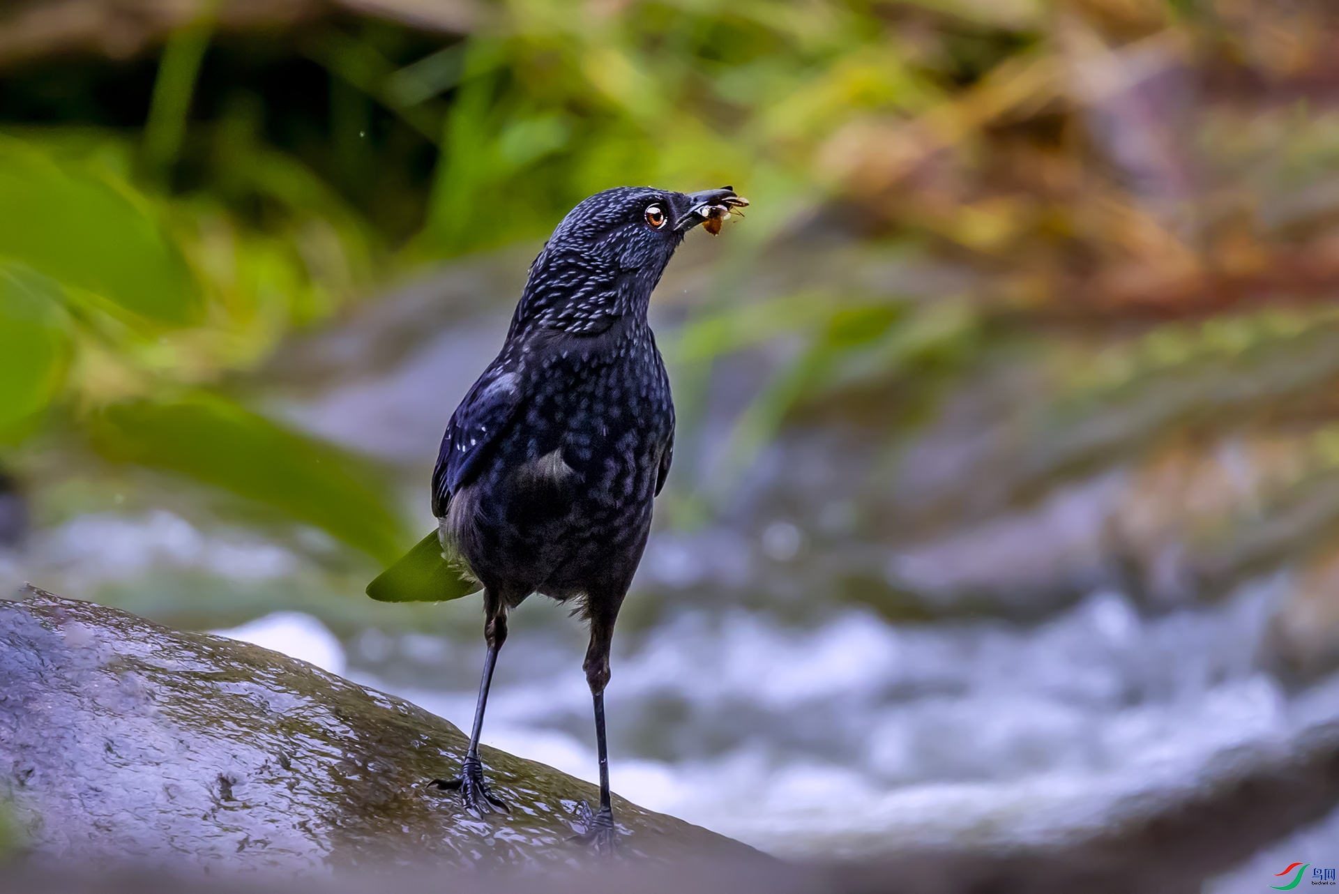 407A4012--1 ��Х�.jpg