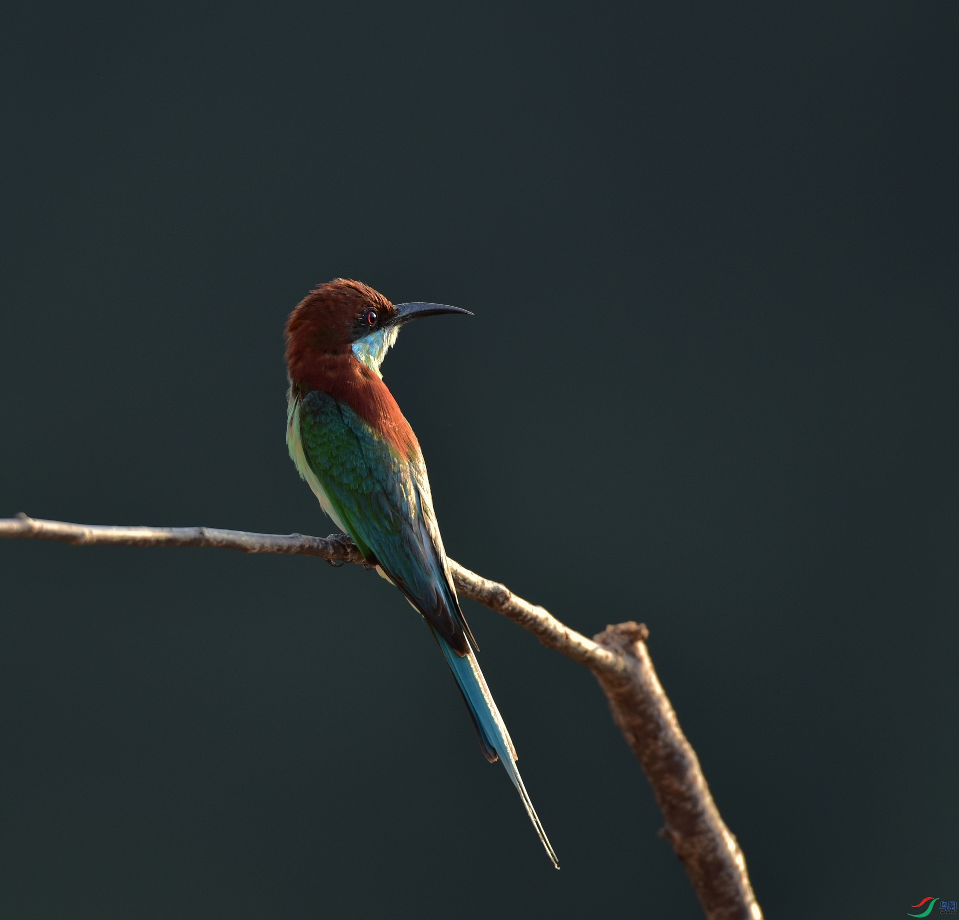 D8I_5118.jpg