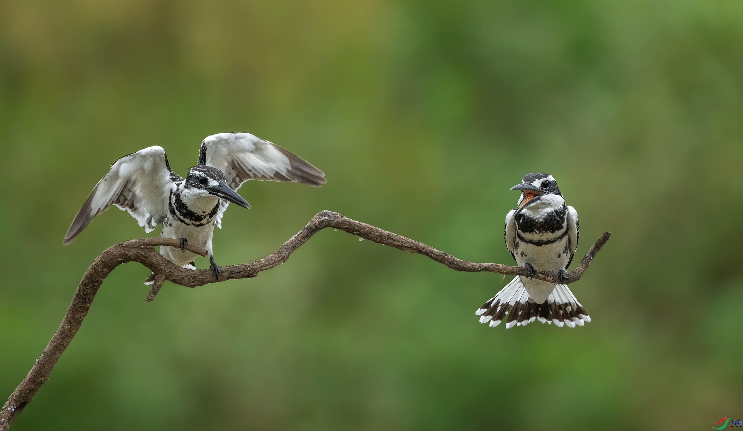 DSC_2015.jpg