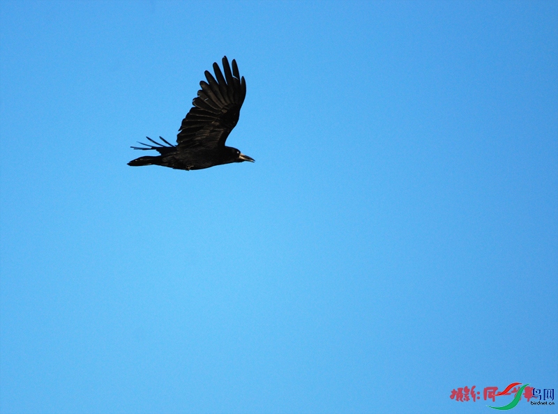 DSC_2771.jpg
