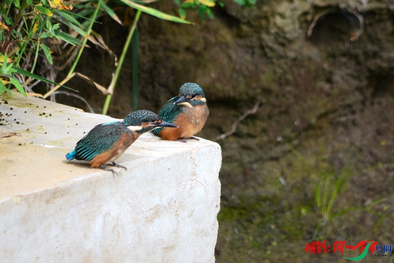 DSC_3255.jpg