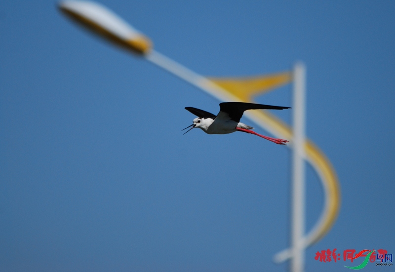 DSC_3321.jpg