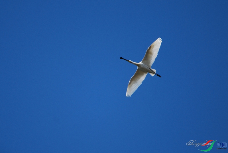 DSC_3343.jpg
