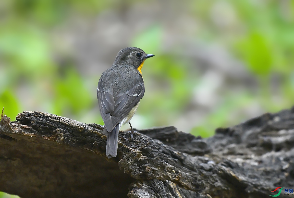 _DSC9015.JPG