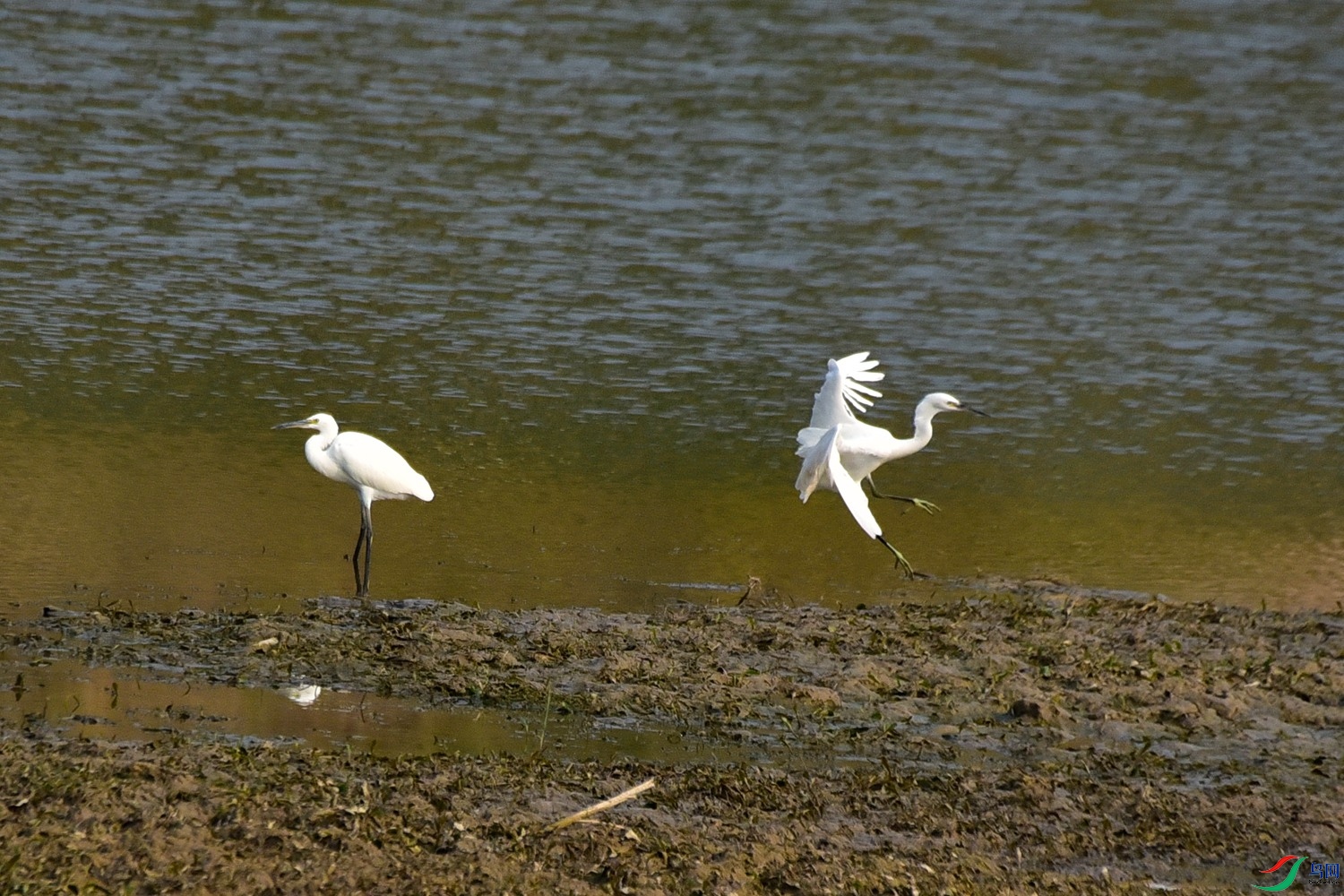 DSC_3692.JPG