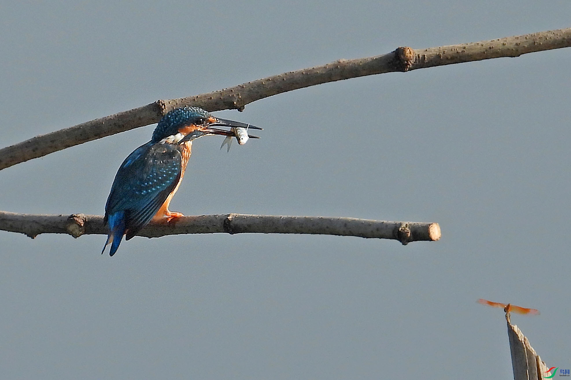 DSCN5878.jpg
